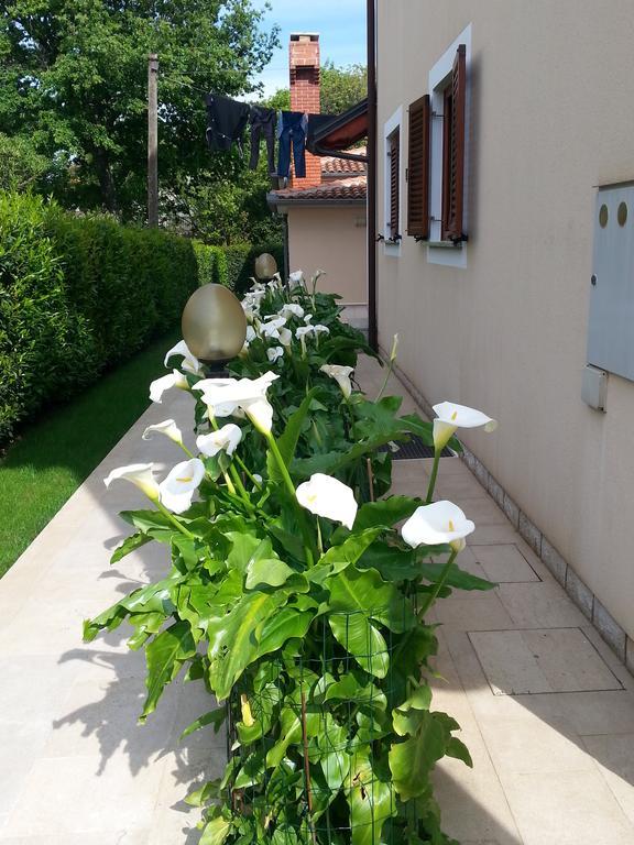 Ulika Rooms & Apartments Poreč Exterior foto